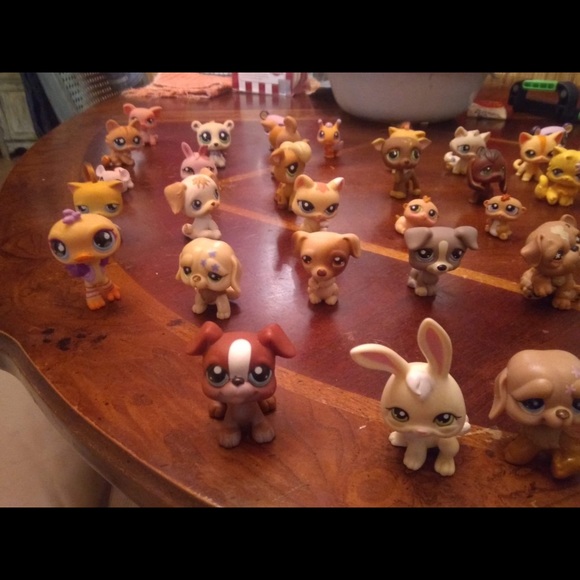 Vintage my little pet shop - Picture 5 of 8